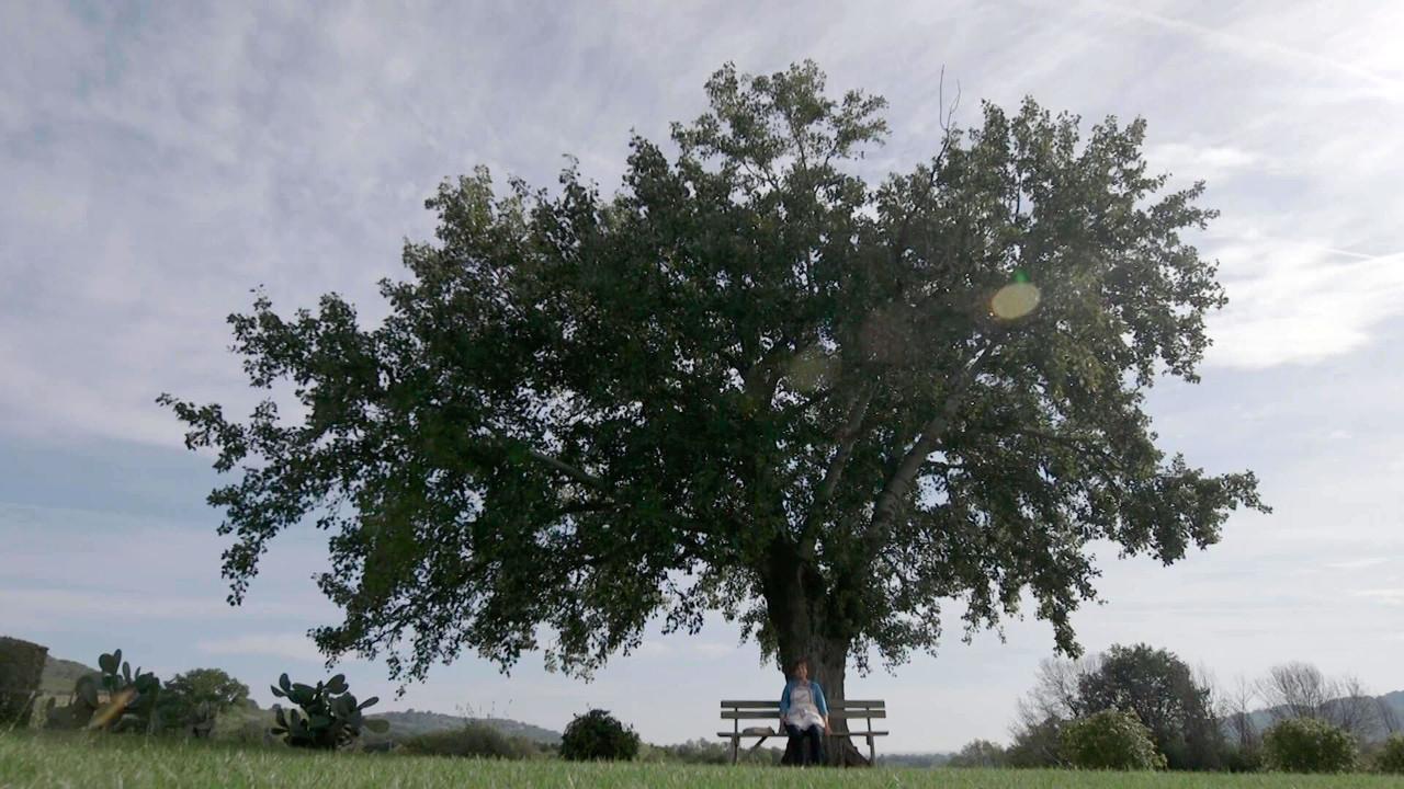 Fatto in casa per voi (St. 10 - Ep. 5)