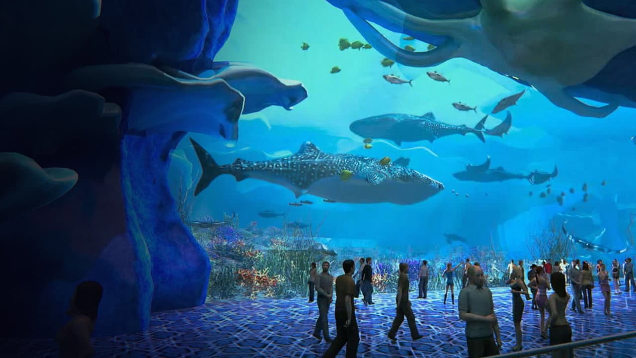 L'acquario più grande del mondo