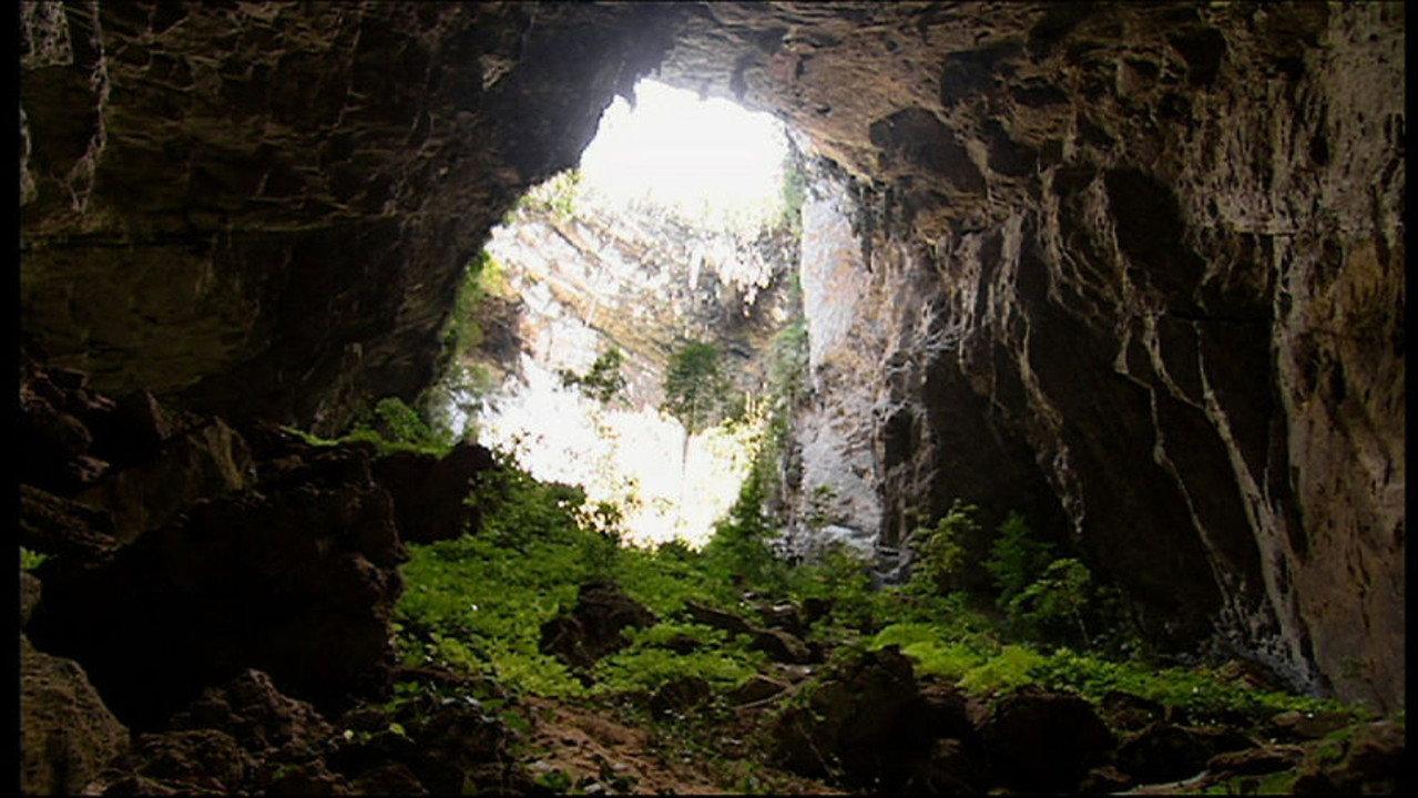 Borneo - Un paradiso incontaminato