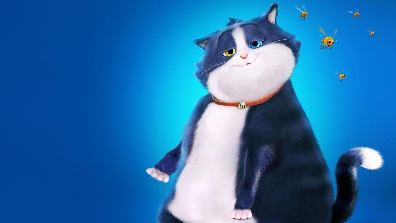 10 Lives - Un Gatto Fortunato