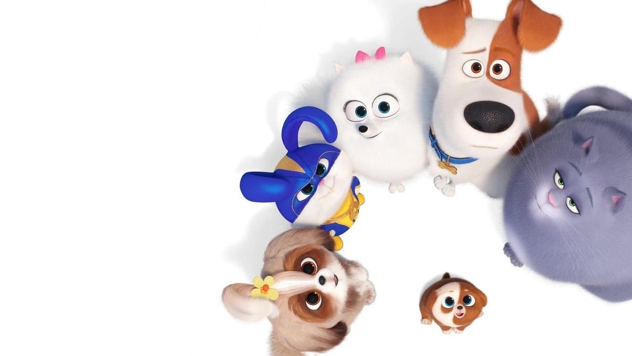 Pets - Vita da animali