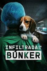 Infiltrada en el búnker