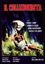 Il collezionista