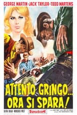 Attento gringo... ora si spara!
