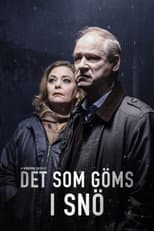 Det som göms i snö