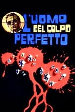 L'uomo del colpo perfetto