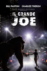 Il grande Joe