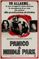 Panico a Needle Park