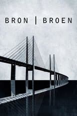 The Bridge - La serie originale