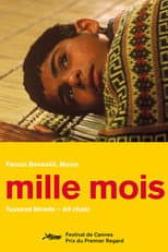 Mille Mesi