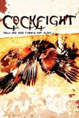 Cockfight