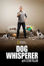 Uno psicologo da cani - Dog Whisperer