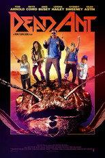 Dead Ant