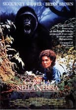 Gorilla nella nebbia