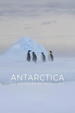 Antartide - Sulle orme del pinguino imperatore