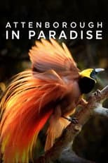 Attenborough in Paradise