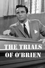 Le cause dell'avvocato O'Brien