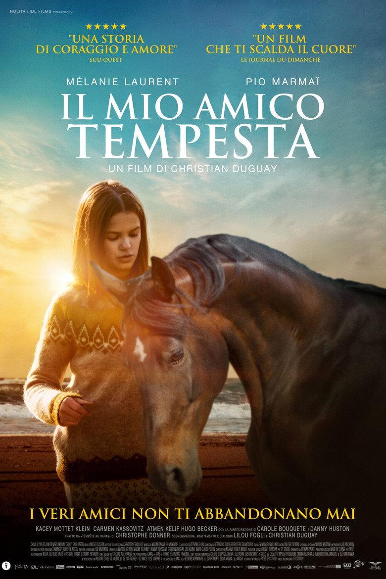 Il mio amico tempesta