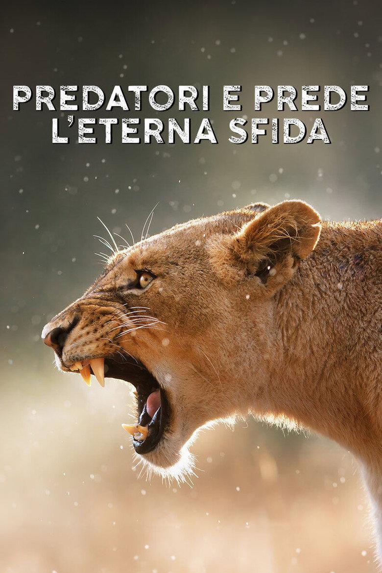 Predatori e prede - L'eterna sfida