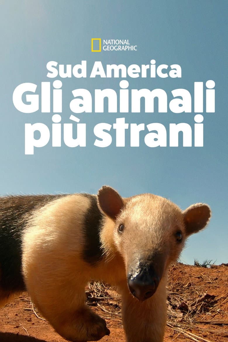 Sud America - Gli animali più strani