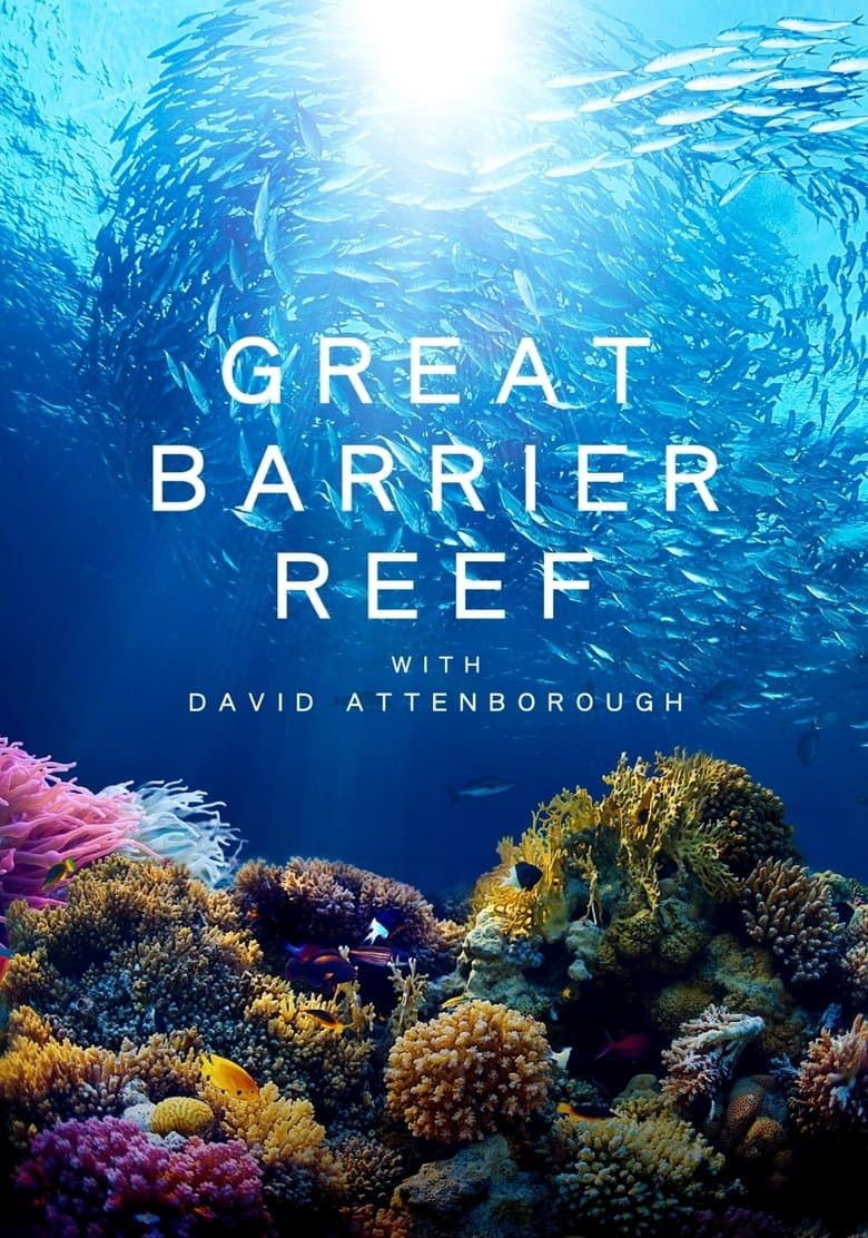 La grande barriera corallina - Il miracolo della natura