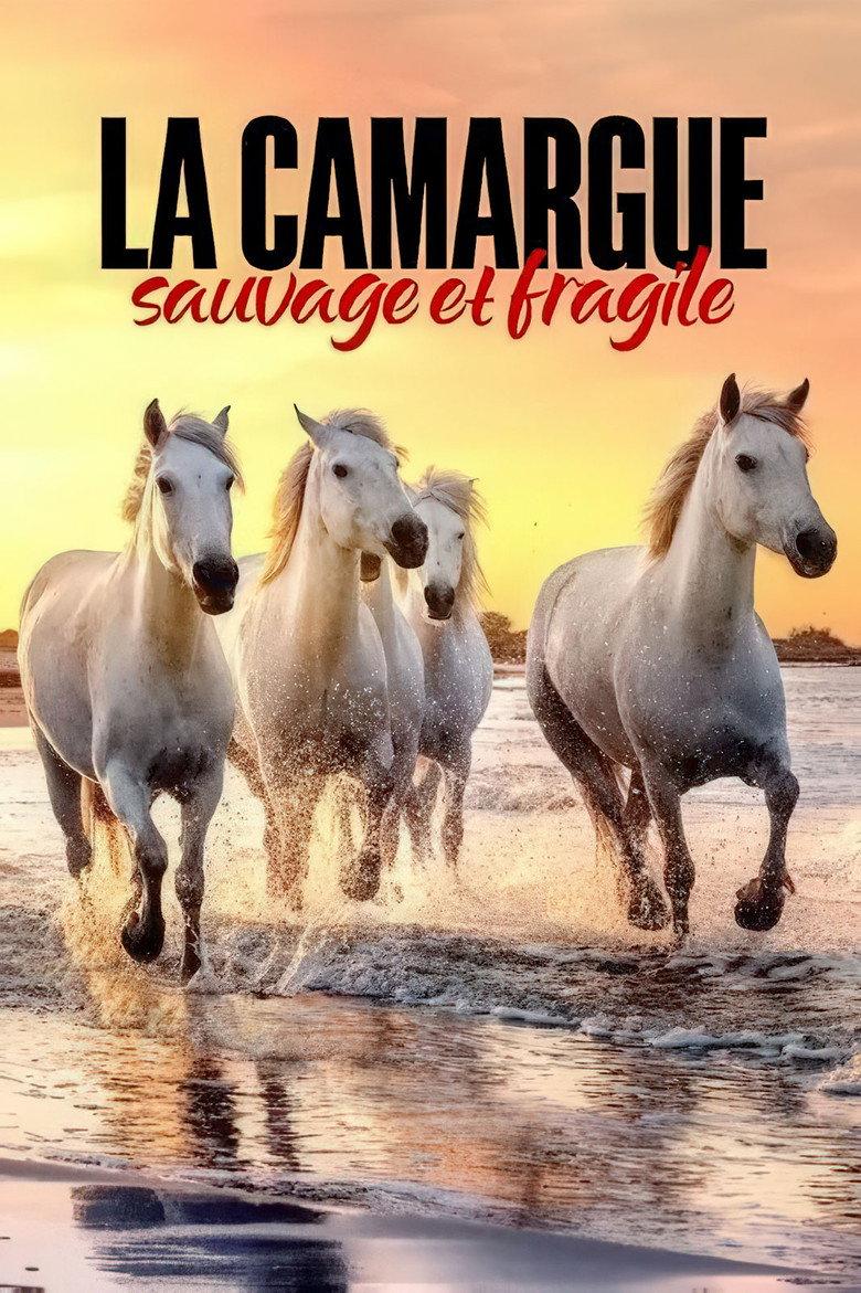 Camargue