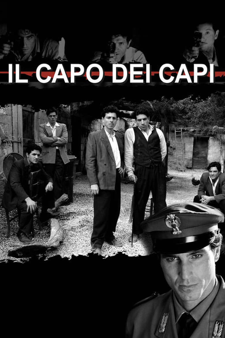 Il capo