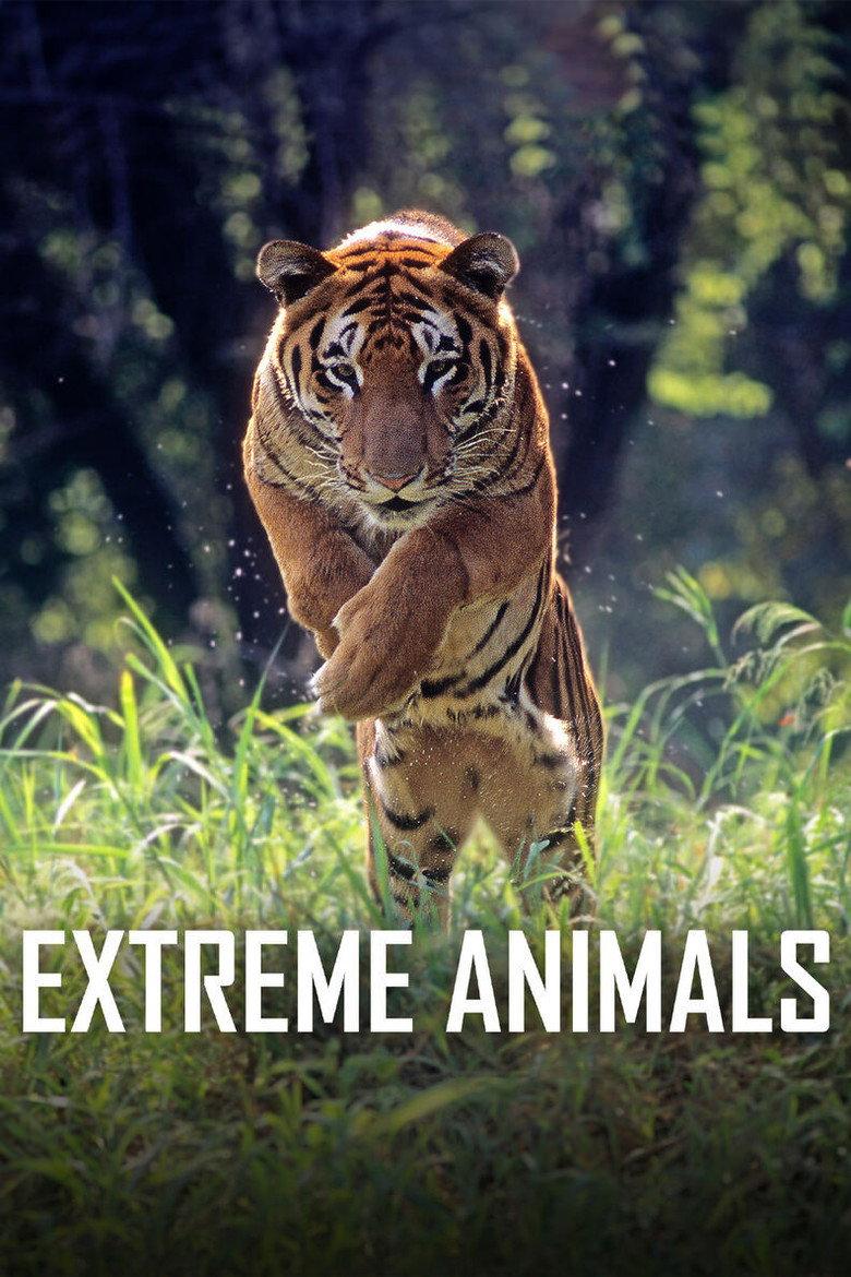 Extreme animals