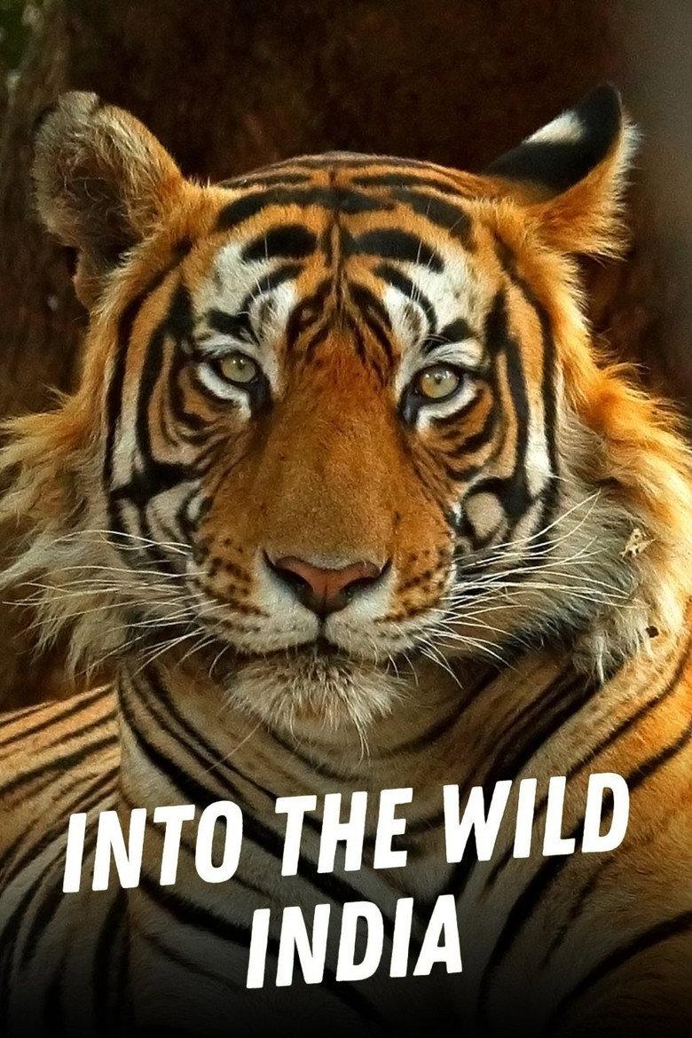 Into the wild: India