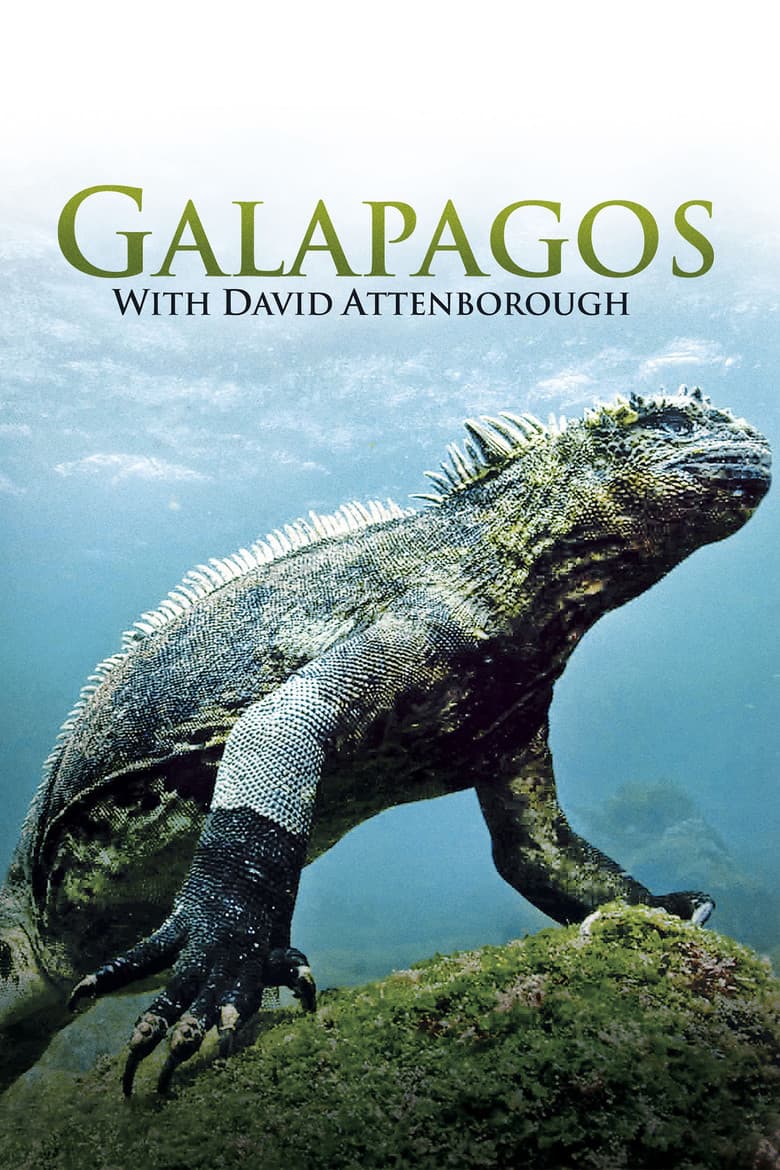 David Attenborough - Luci sul pianeta