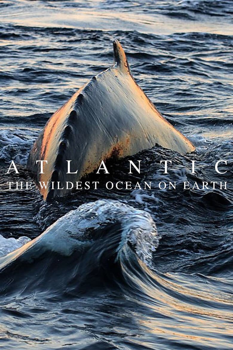 Oceano Atlantico - Profondo blu (St. 1 - Ep. 1)