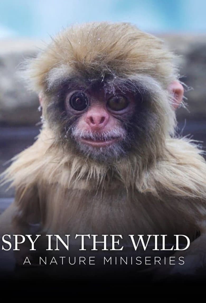 Spy In The Wild - A Tu Per Tu CON La Natura - Stag. Spy In The Wild - A Tu Per Tu CON La Natura S.02 - Spy In The Wild - A Tu Per Tu CON La Natura 02 Ep.02