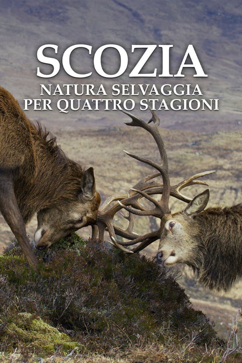 Scozia - Francia