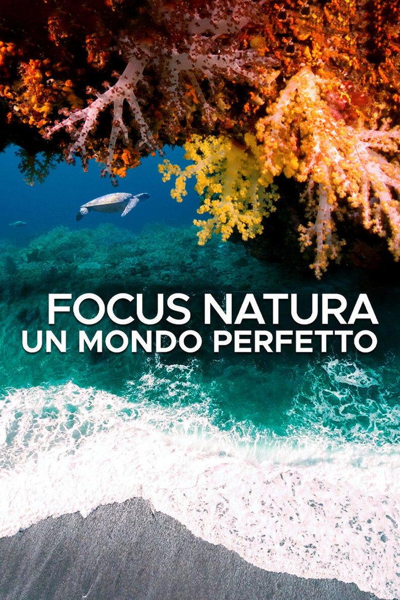 Focus natura - Un mondo perfetto 4