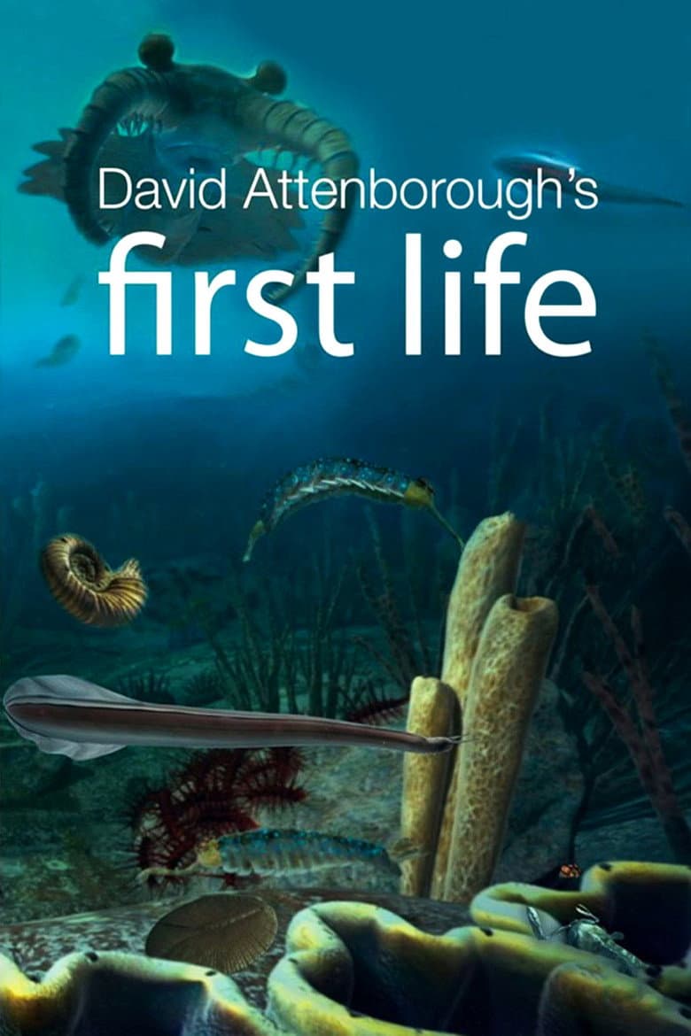 David Attenborough - Alla scoperta delle formiche