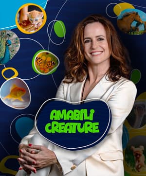 Amabili creature (St. 1 - Ep. 8)