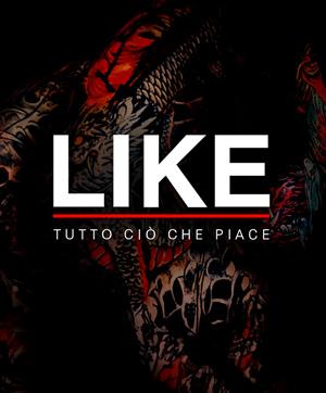 LIKE - Tutto cio' che piace (St. 9 - Ep. 17)