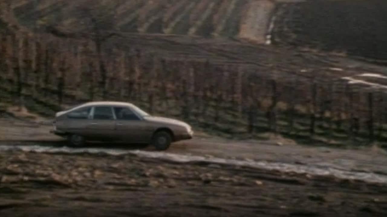 Viaggio sentimentale nell'Italia dei vini