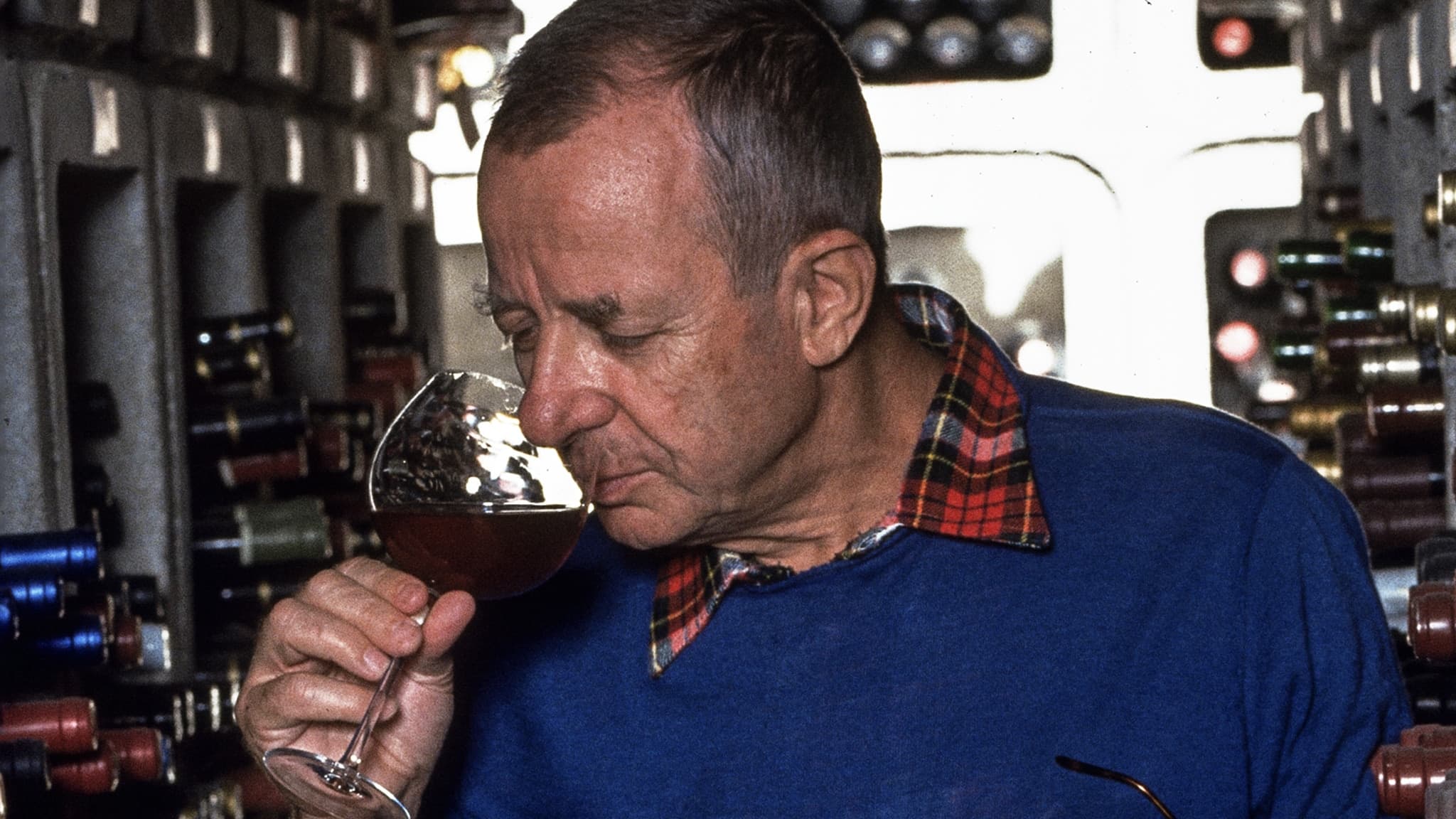 Viaggio sentimentale nell'Italia dei vini