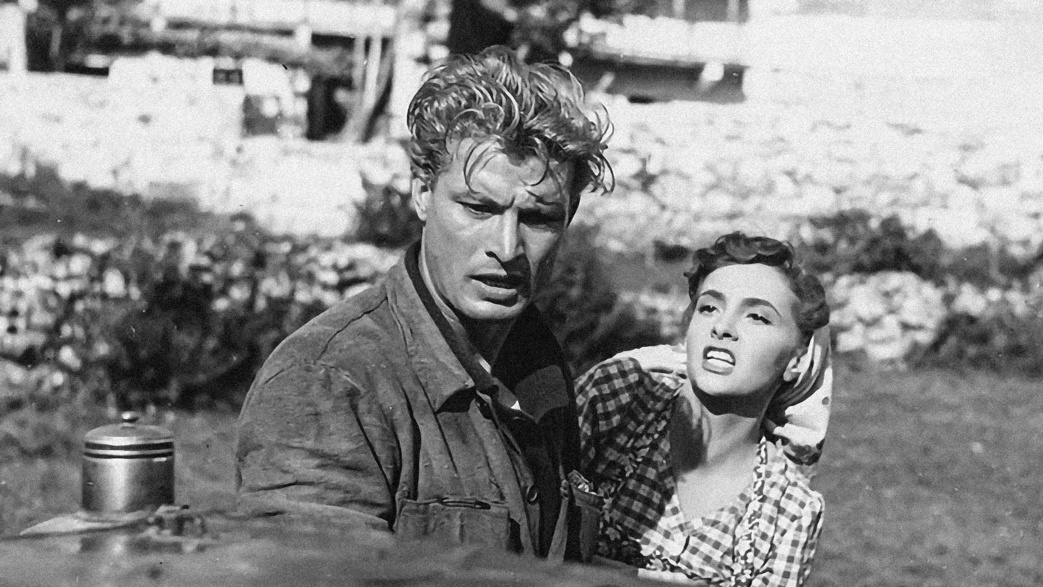 Cuori senza frontiere