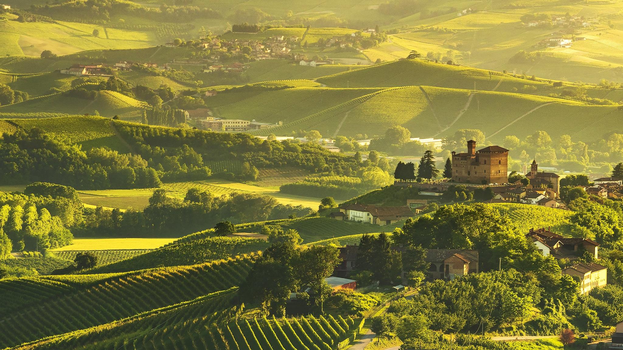 Il sito UNESCO dei Paesaggi vitivinicoli del Piemonte: Langhe-Roero e Monferrato