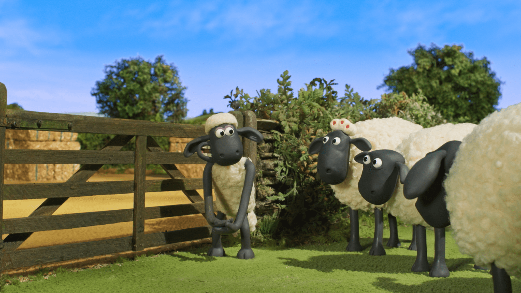 Shaun, vita da pecora