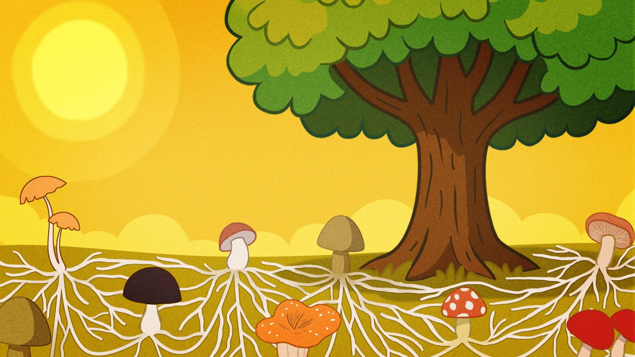 Buonanotte con Carolina - Storie e letterine