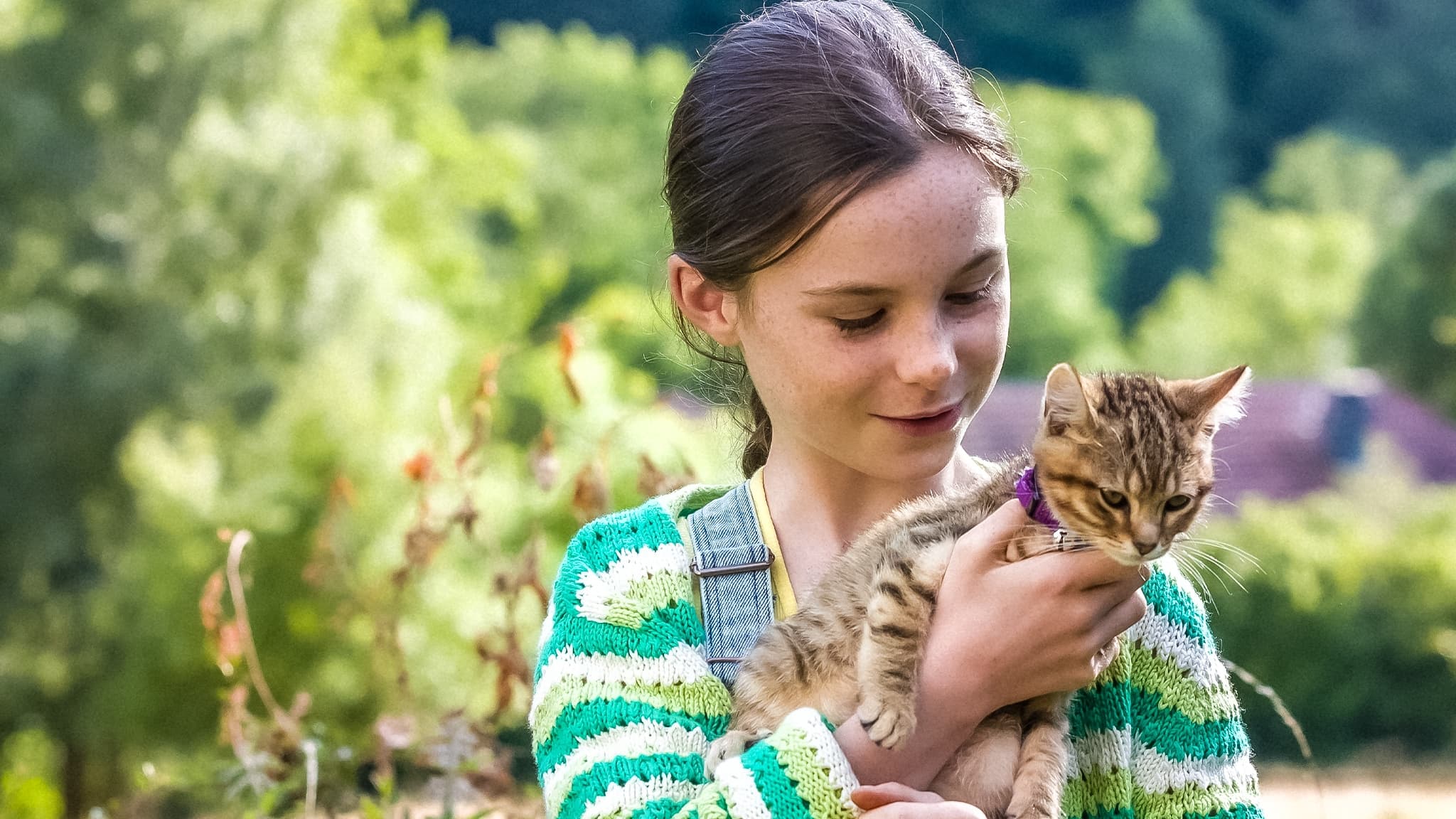 Vita da gatto