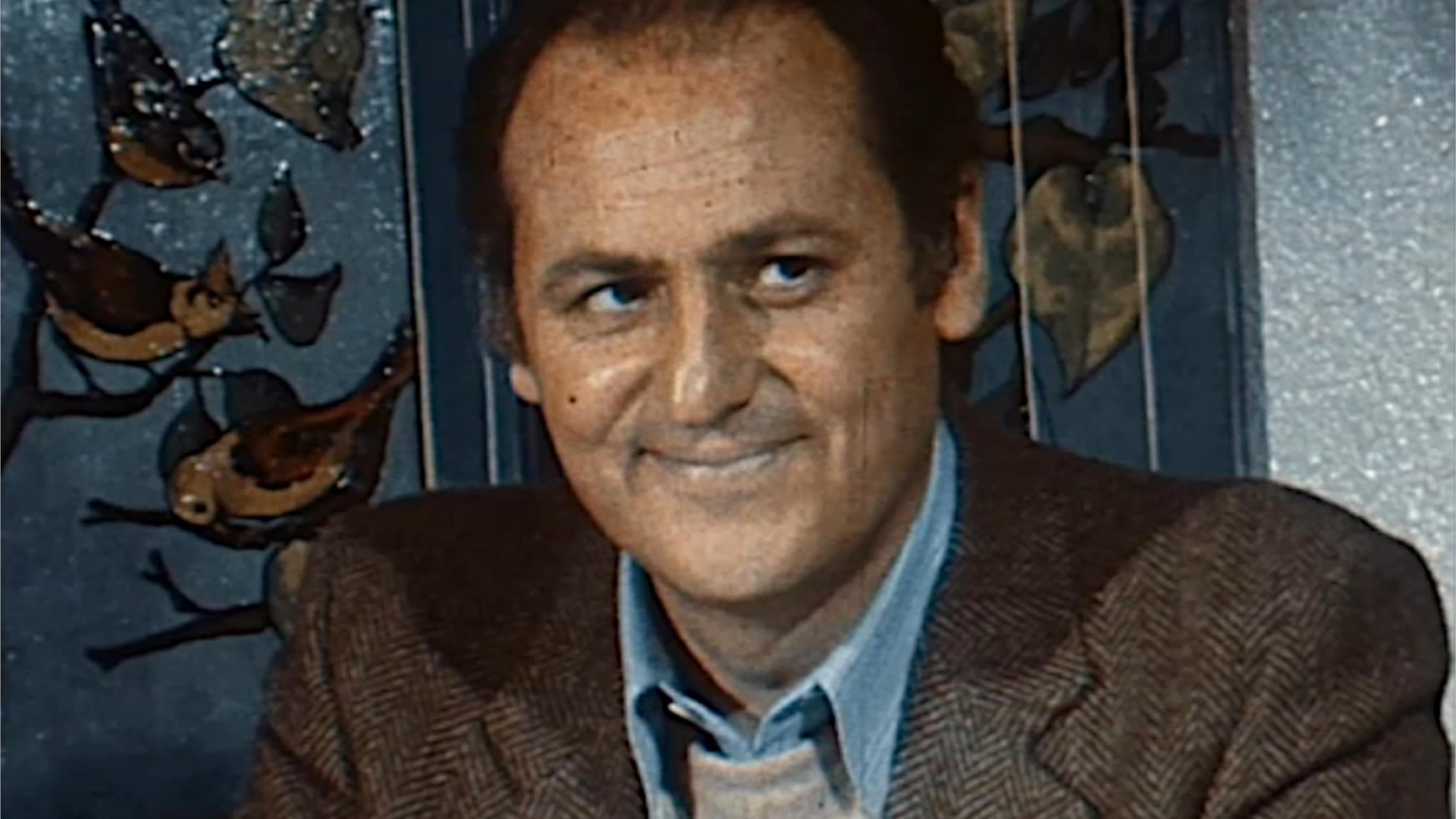 Buonasera con...