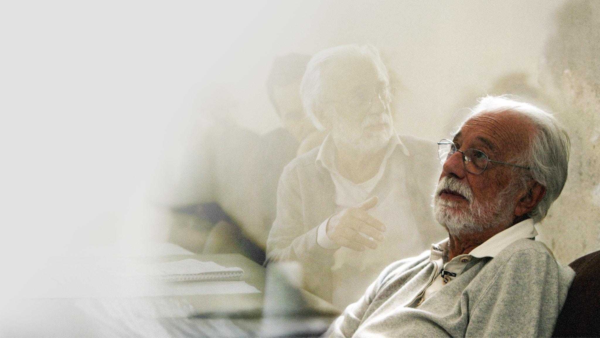 La scuola d'estate