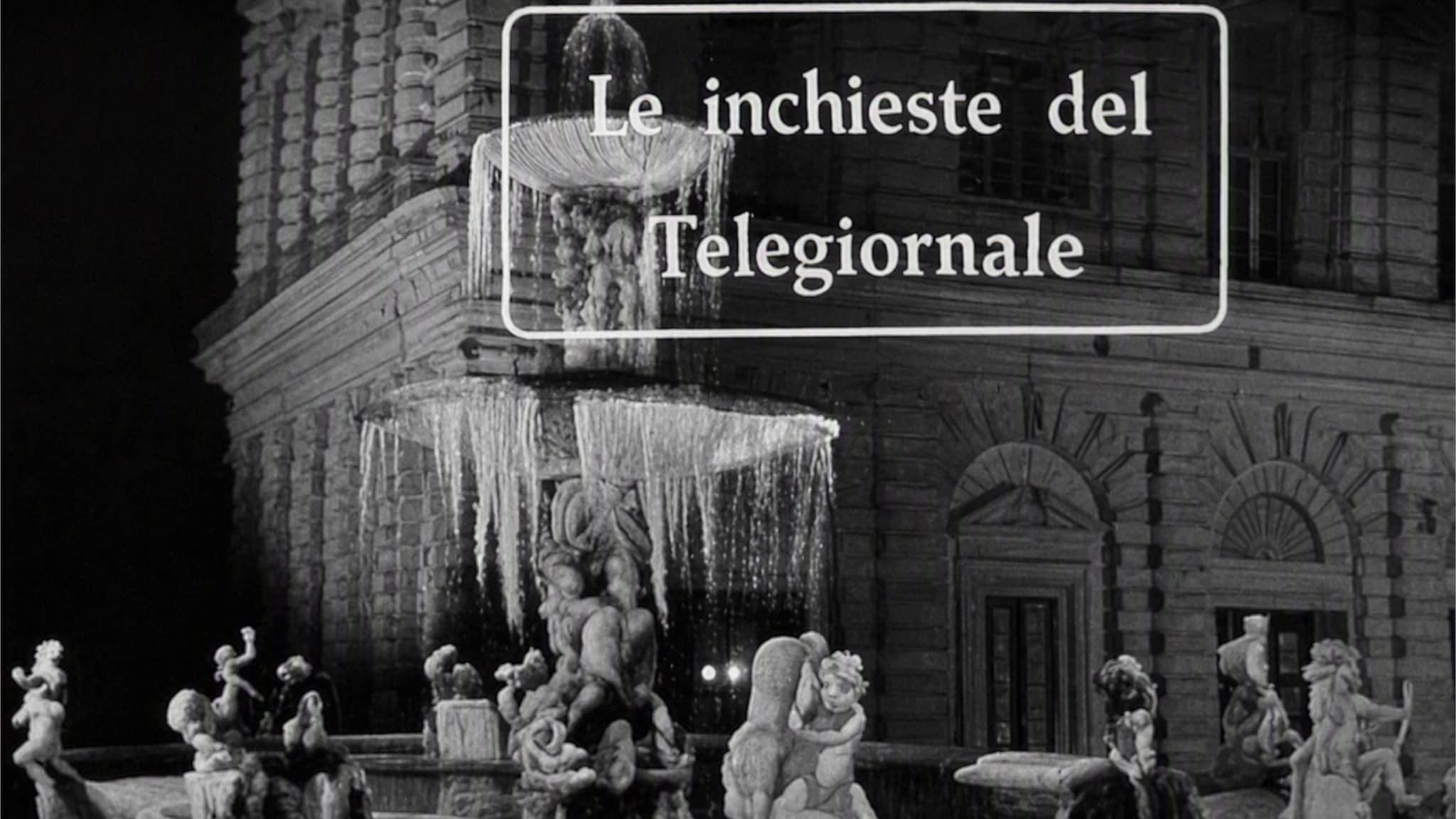 Le inchieste del telegiornale