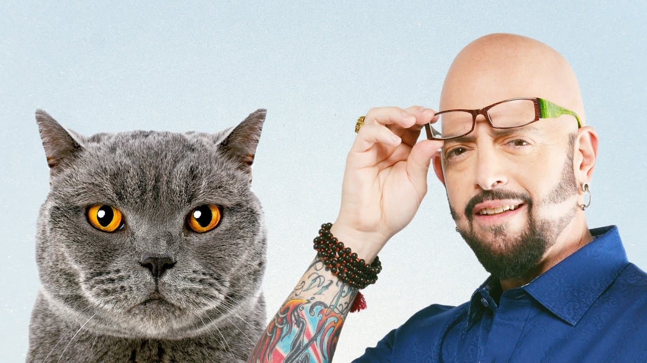 Il mio gatto è indemoniato