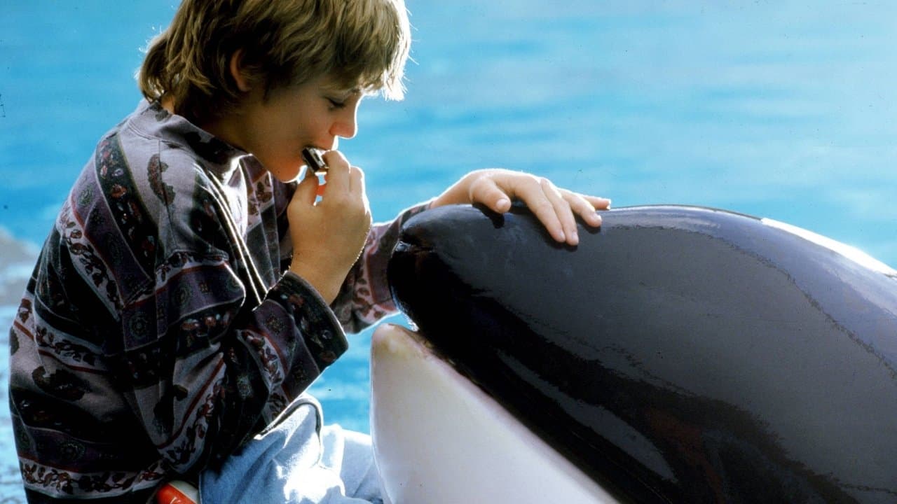 Free Willy: Un amico da salvare