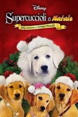 Supercuccioli a Natale